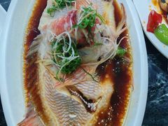 -小海豚•老字号海鲜餐厅(天涯店)