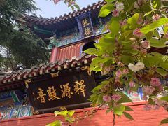 -洛阳白马寺
