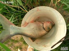 -北京拉斐特城堡酒店