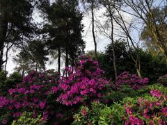 -南山植物园