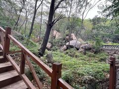 -大岭沟猕猴桃谷风景区