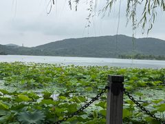 -南北湖风景区