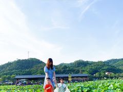 -红山村