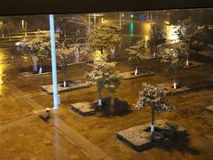 -苏州大学独墅湖校区-第8食堂(崇文路店)