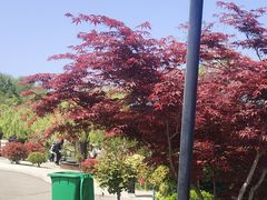 -威海华夏城景区