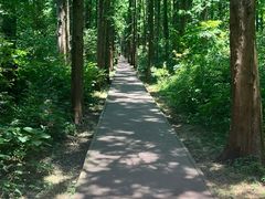 -同里国家湿地公园