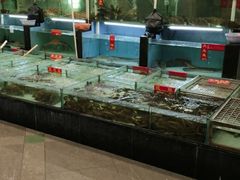 水产区-海龙渔村(万江分店)