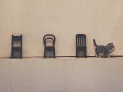 -red donkey coffee