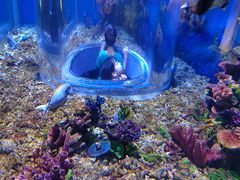 -上海海昌海洋公园