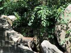 -崂山巨峰游览区