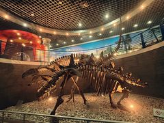 -国家自然博物馆