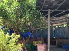 -香竹农庄•传统竹筒饭(十年店)