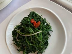 养生枸杞苗-中发源·清真餐厅(南油店)