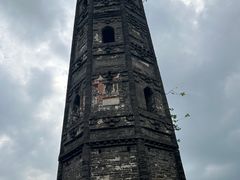 -上海佘山国家森林公园天马山园