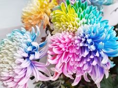 -陶然亭公园南门停车场