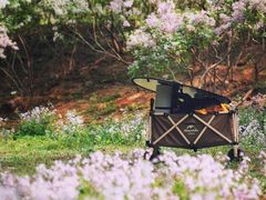 -永定河休闲森林公园