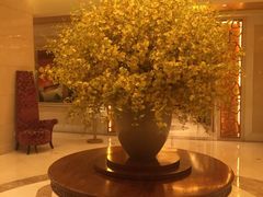 -东怡大酒店(上海科技馆店)