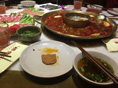 -杨家火锅(国美店)