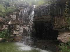 -燕郊植物园