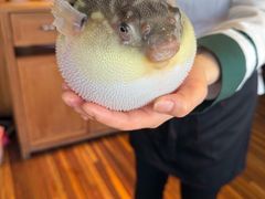 -永安鱼庄·镇江菜(丁卯店)