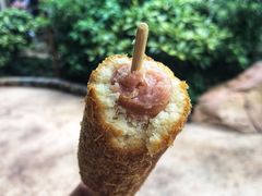 餐饮设施-上海迪士尼度假区