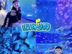 -左海海底世界