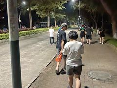 -风云岭森林公园