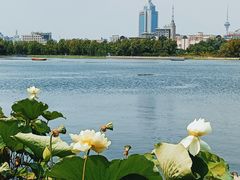 -莲花池公园