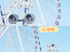 -顾村公园