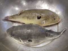 -北塘海鲜·天津菜(大光明桥旗舰店)