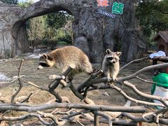 -宁波野生动物园