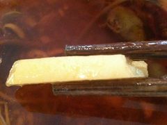 -蜀九香火锅(彩虹店)