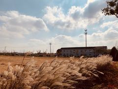 -梁鸿国家湿地公园