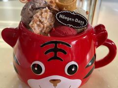虎虎生威外带冰淇淋杯-哈根达斯(亿合城店)