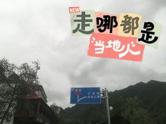 -牛背梁国家森林公园
