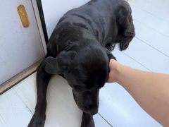 -曹歌摄影图文快印(大学城店)