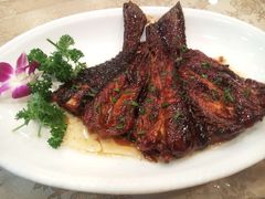 webwxgetmsgimg&nbsp;(15)-浦江餐饮·上海菜馆(五四路店)