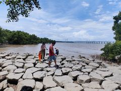 -宝安西湾红树林湿地公园
