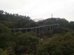 -金鸡山公园