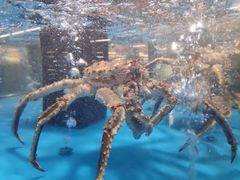 -麦德龙(郑东店)