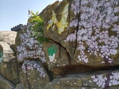 -自然谷恐龙园