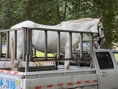 -河南省黄河迎宾馆