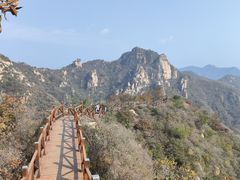 -大岭沟猕猴桃谷风景区