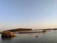 -南大港湿地风景区