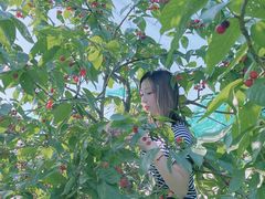 -亮河湾山庄