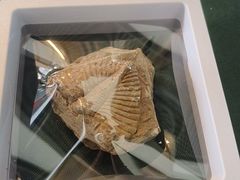 -房山世界地质公园博物馆