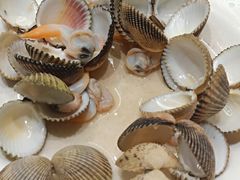 -岛中岛·海鲜大排档·万宁老字号(东澳店)