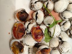 -吴记富苑(朝阳店)