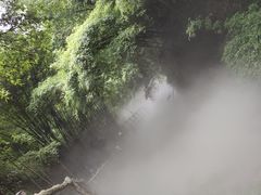 -川西竹海景区
