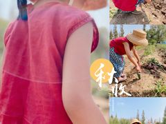 -前小桔亲子创意农场·草莓采摘·露营烧烤